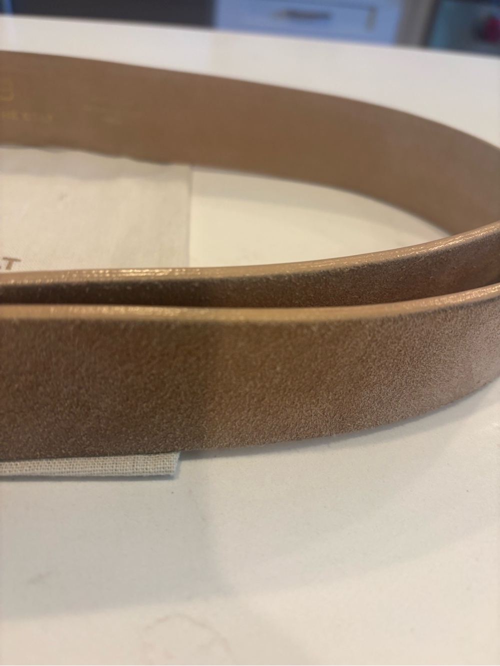 B-Low the Belt Suede Tan Belt with Gold Buckle - Picture 5 of 5